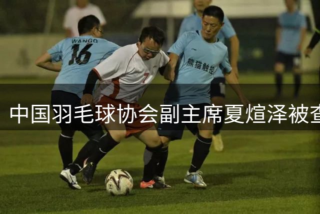 中国羽毛球协会副主席夏煊泽被查